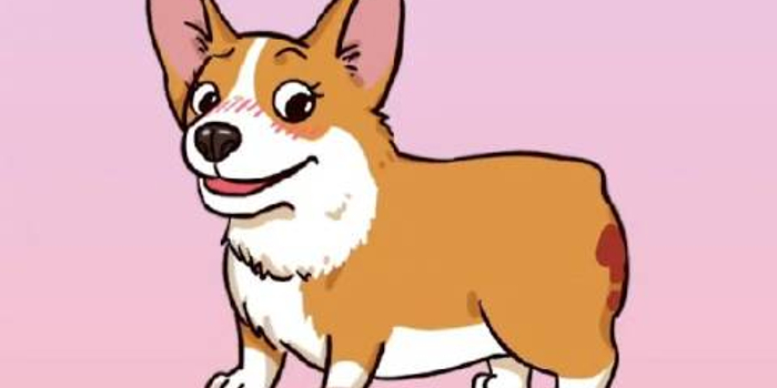 科普 狗狗生理期该怎么办 含视频 手机新浪网