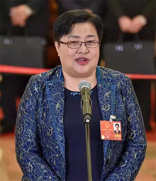 全国人大代表、“宝贝回家”创始人张宝艳