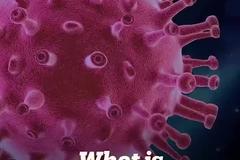 多国出现猴痘病例 猴痘是什么？
