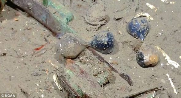 　　时间框架：这艘船在这个地区沉没时发生的历史事件是“1812年战争”，它引发了后来的得克萨斯革命和美国墨西哥战争。这张照片展示了类似滴漏的物品。