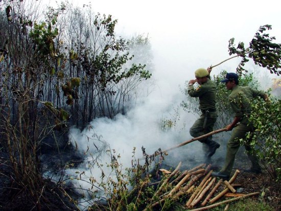 　　9月7日，印尼东加里曼丹省马辰郊区的一处种植园，当地安全人员正在试图扑灭大火。浓烟导致占碑省的航班周二停飞，政府紧急发放成千上万口罩。