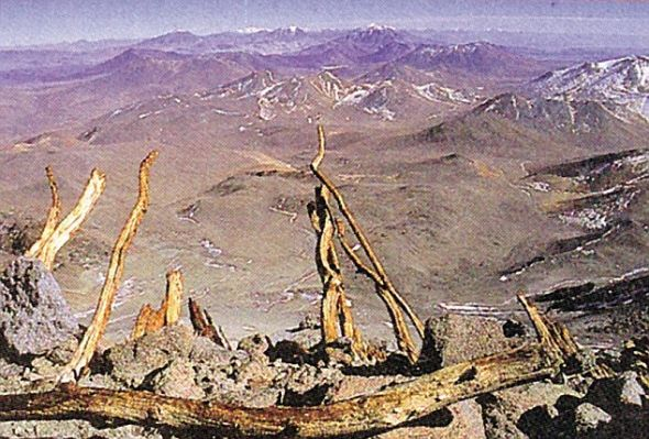 木乃伊“处女”发现地点，阿根廷的尤耶亚科火山