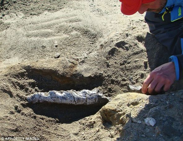 一块化石即将出土