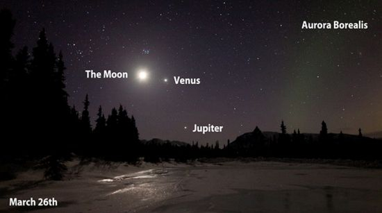 哈特冒着严寒，进行缩时摄影，最后拍了7500多张珍贵照片。