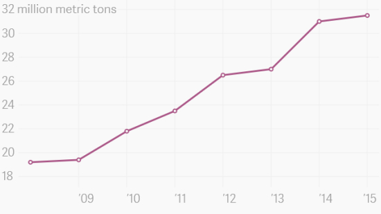 印尼棕榈油产量迅猛增长的背后是谁都无法承担的成本