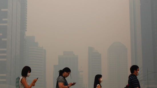 2013年的新加坡，东南亚人对遭受一切已渐渐习惯