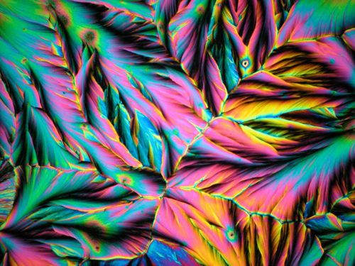 看清让你兴奋的物质