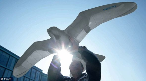 科学家研制的机器鸟，不仅能够完美模拟鸟类飞行，同时也极为逼真，令人难辨真伪。