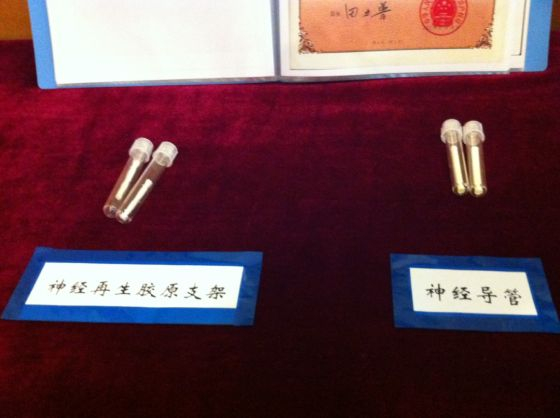 神经再生胶原支架和神经导管