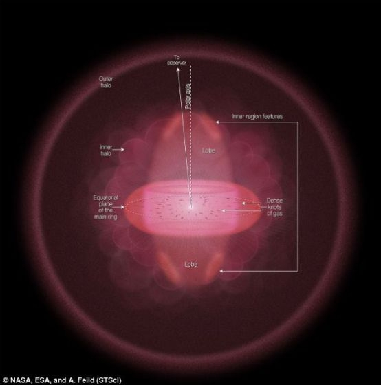 　　这幅图像展示了环状星云的侧向几何外形和结构，星云的宽大晕轮和内部区域，低密度物质团向外伸出，远离地球，中央的白点是白矮星产生的辐射，导致氦气发光