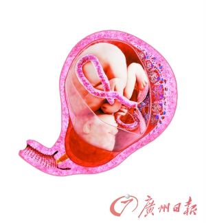 图：Gettyimages。