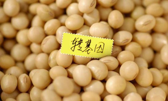 “转基因”之争历来已久