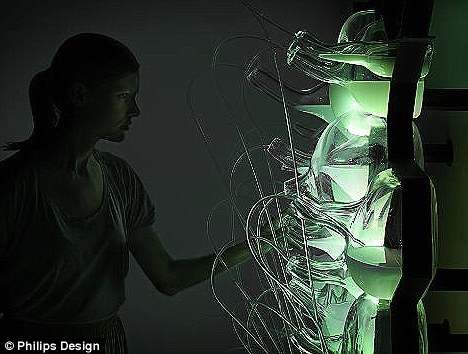 这种灯利用的沼气是由日常家庭垃圾产生的