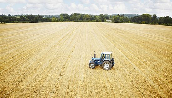 图片来源：视觉中国