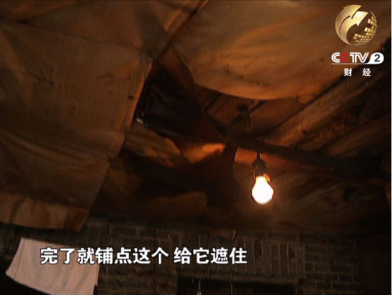 张彩霞家用油纸贴住的屋顶