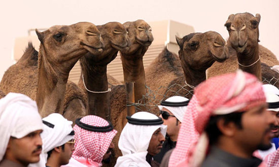 当年世界第三大股市也是苦出身，她就是一个交易骆驼的牲畜市场