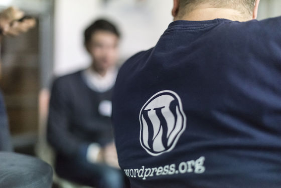 全球大量作者借助WordPress打造了自己的出版平台