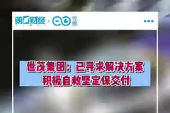 世茂10亿美元债本息未兑付，聘钟港谋求境外债整体解决方案