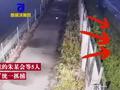 5人趁夜进货式偷1500只甲鱼倒卖:本身做水产生意,专偷成年大甲鱼