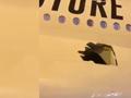 惊险!阿联酋航空一客机空中爆巨响 14小时落地后发现机身破大洞