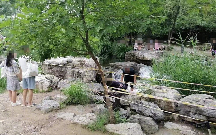 　奥林匹克森林公园南园的小溪。