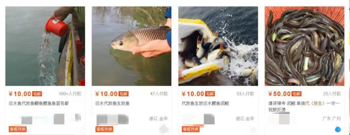 电商平台中销售的放生生物 图/电商平台截图
