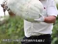 男子重阳节为村里老人做3天炖菜:买了10只鸡50斤粉条100元馒头