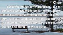 解读天王星在土象星座的孩子