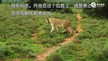 月亮代表你你的心--基本星座