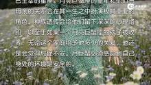 月亮代表你你的心--固定星座