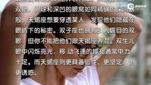 拿捏大会：教你一眼识别水象星座