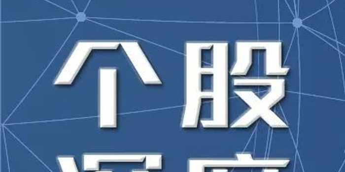 隆基绿能(601012.SH) 深度报告:一体化组件龙头企业,稳健发展未来可期_手机新浪网