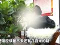 回流人员亲述缅北噩梦:被关水牢47天,被逼卖血连抽4天晕倒