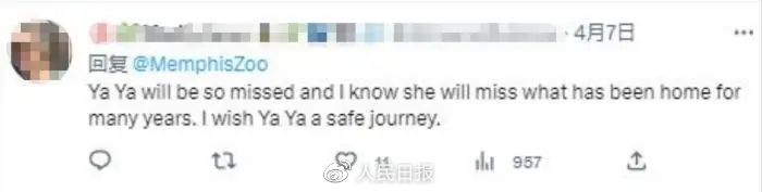 图片来源：社交媒体账号截图