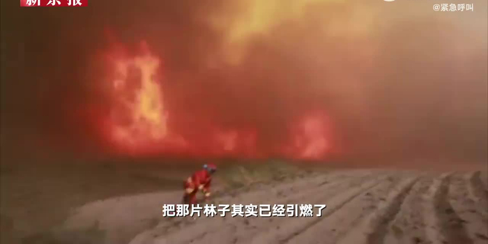 云南森林消防员讲述山火爆燃瞬间：五六十米高火墙瞬间腾起 晚一点可能就会窒息_手机新浪网