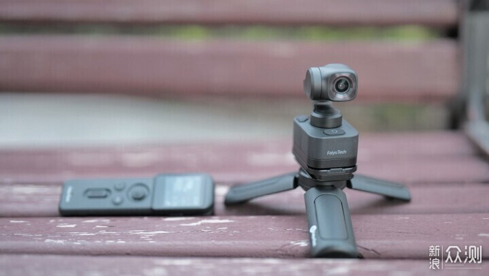 陈飞宇苏映雪免费阅读