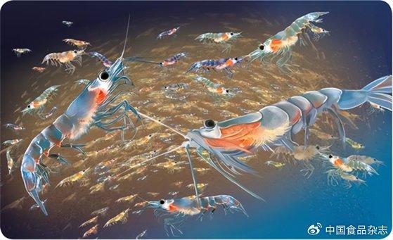 重大消息，中国在南极发现“海上粮仓”，能养活14亿人