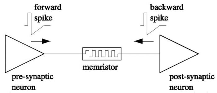 忆阻器突触原理图