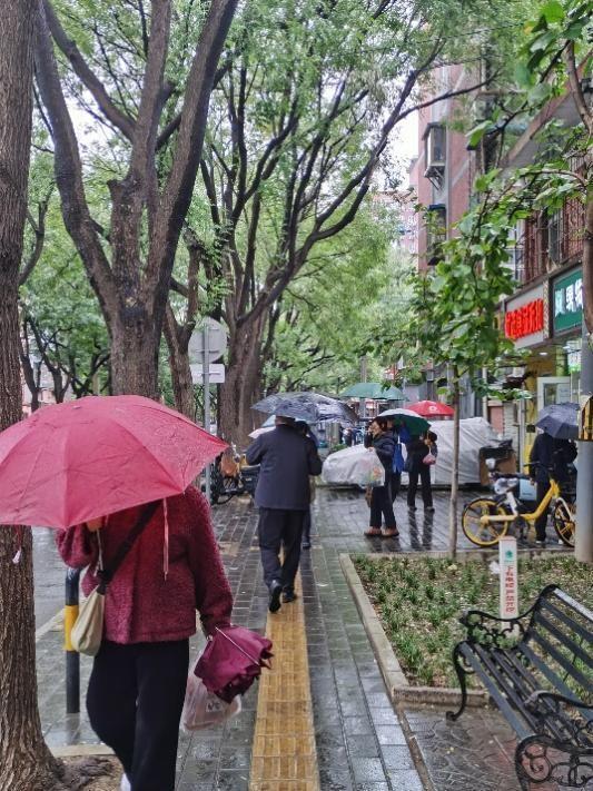 11月5日，北京迎来降雨。周学津 摄