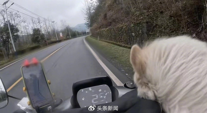  回家途中。图/受访者供图