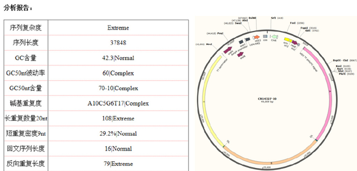无限合成尽在掌握