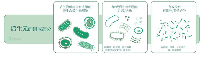 先达后生元:聚焦肠道微生态,塑造生命平衡之钥