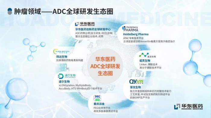 华东医药406亿营收彰显韧性医美板块持续高速增长高端国际化更优势