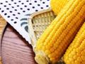 【玉米和淀粉月报】养殖需求增加 玉米仍有反弹空间