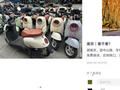 “五一”租电动单车游南京受游客青睐 管理、安全问题需留意