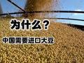 为什么中国需要进口大豆？