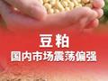 美豆种植率好于预期，国内豆粕市场震荡偏强