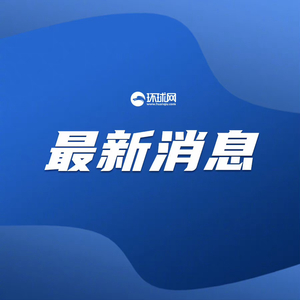 “14名约旦公民沙特朝觐中暑死亡，官方待证实” 约旦 中暑 死亡 沙特 公民 官方 阿拉法特 朝圣者 外交部 阿联酋 sina.cn 第2张