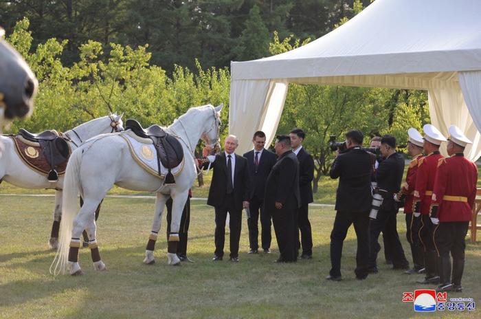 “金正恩送普京丰山犬，友谊的象征”