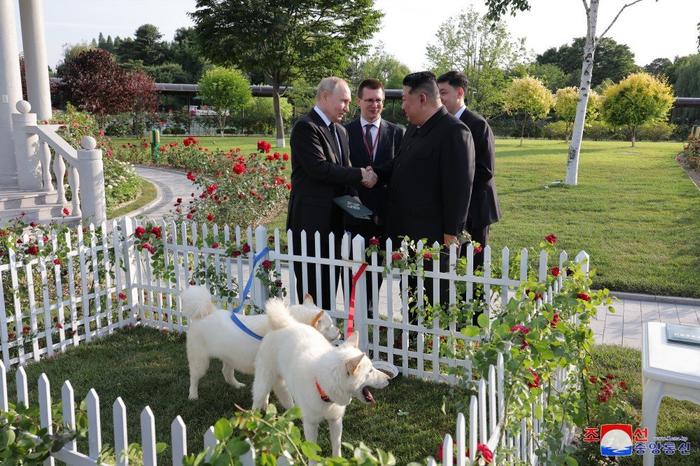 “金正恩赠普京丰山犬：友谊的象征”